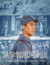 2011年国产经典战争片《洪学智黑河剿匪》HD国语无字