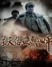 2009年国产经典战争片《李天佑血战四平》HD国语中字