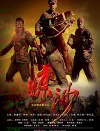 2011年国产经典历史片《惊沙》HD国语中英双字