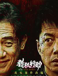 2025年国产动作片《猎狐·行动》HD国语中字修正版