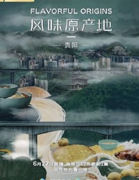 2021年国产大陆纪录片《风味原产地·贵阳》全10集