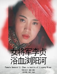 2013年国产经典战争片《女将军李贞浴血浏阳河》HD国语中字