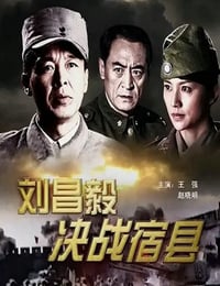 2009年国产经典战争片《刘昌毅决战宿县》HD国语中字