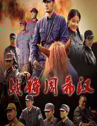 2013年国产经典战争片《战将周希汉》HD国语中字