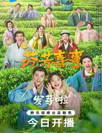 2025年国产大陆电视剧《芬芳喜事》连载至05
