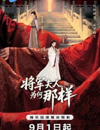 2025年国产大陆电视剧《将军夫人为何那样》全24集