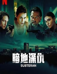 2025年罗马尼亚电视剧《暗地深仇》全6集