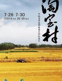 2019年国产大陆电视剧《淘宝村》全5集