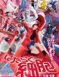 2024年日本奇幻片《工作细胞 真人版》BD国日双语中字