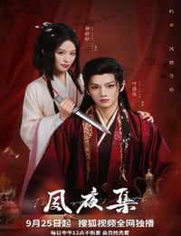 2025年国产大陆电视剧《夙夜集》连载至13