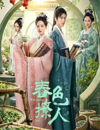 2025年国产大陆电视剧《春色撩人》连载至13
