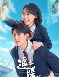 2025年国产大陆电视剧《追蝶》连载至20