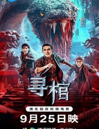 2025年国产动作冒险片《寻棺》HD国语中字