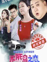 2021年国产爱情片《不死鸟之恋》HD国语中字