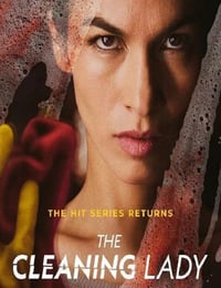 2022年国产大陆电视剧《清洁工 第二季》全12集