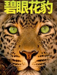 2020年美国纪录片《碧眼花豹》HD英语中字