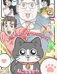 2024年日本动漫《转生成猫的大叔》全48集