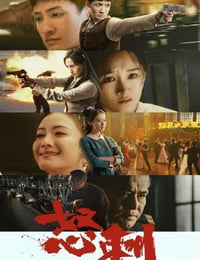 2025年国产大陆电视剧《怒刺》全30集
