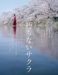 2024年日本悬疑剧情片《不朽的樱花》BD日语中字