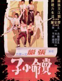1979年中国香港经典动作片《卖命小子》HD国语中字