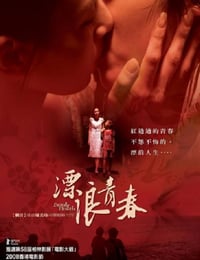 2008年中国台湾经典剧情片《漂浪青春》蓝光国语中字