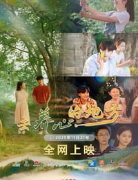 2025年国产大陆电视剧《去养心的地方》全12集