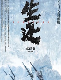 2025年国产战争片《生还》HD国语中英双字