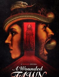 2022年美国恐怖片《受伤的小鹿》BD英语中字