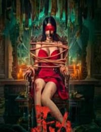 2025年国产悬疑片《寻凶》HD国语中字