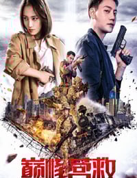 2025年美国动作片《巅峰营救》HD国语中字