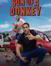 2025年澳大利亚电视剧《笨驴父子档》全6集