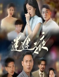 2025年国产大陆电视剧《迷途之夜》全14集