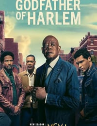 2025年美国电视剧《哈林教父 第四季》全10集