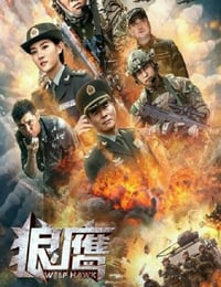 2020年国产动作片《狼鹰》HD国语中字