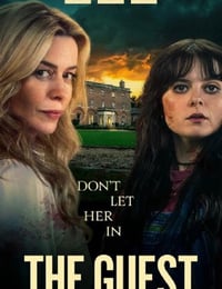 2025年英国电视剧《不速之客》全4集