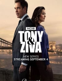 2025年美国电视剧《海军罪案调查处：欧洲喋血篇》全10集