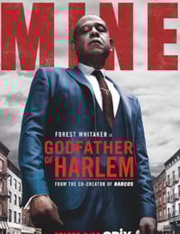 2019年美国电视剧《哈林教父 第一季》全10集