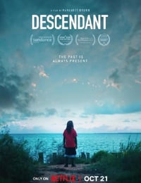 2022年美国纪录片《非洲城的后裔》HD英语中字