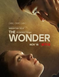 2022年爱尔兰6.6分悬疑片《禁食疑案》HD英语中字