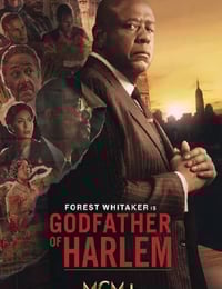 2023年美国电视剧《哈林教父 第三季》全10集