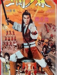 1983中国香港经典动作片《三闯少林》HD国粤双语中字