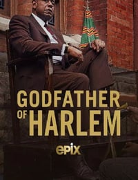 2021年美国电视剧《哈林教父 第二季》全10集