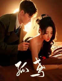 2025年国产大陆电视剧《孤鸢》连载至10