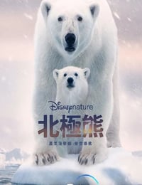 2022年美国纪录片《北极熊》HD国粤英三语中字