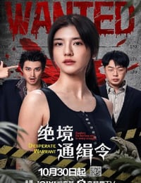 2025年国产大陆电视剧《绝境通缉令》全24集