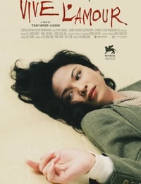 1994年中国台湾经典剧情片《爱情万岁》蓝光国语中英双字