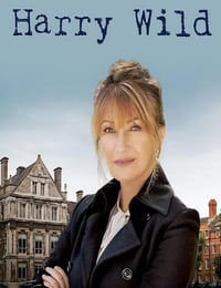 2022年爱尔兰电视剧《野探哈莉 第一季》全8集