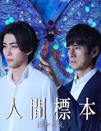 2025年日本电视剧《人类标本》全5集