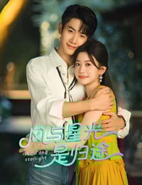 2025年国产大陆电视剧《风与星光是归途》全24集