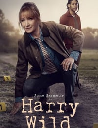 2025年爱尔兰电视剧《野探哈莉 第四季》全8集